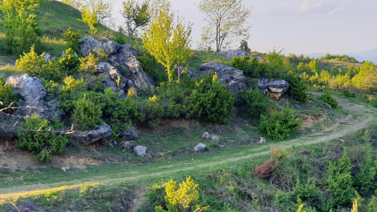 Бялата Къща Hotel Csakalarovo Kültér fotó